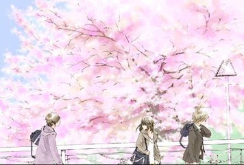 骚宝中医spa养生馆